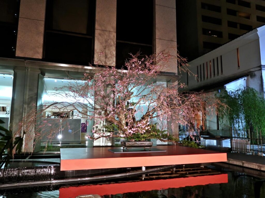 六角堂の装花 池坊