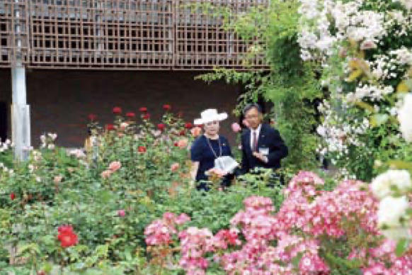 プリンセスノブコを鑑賞するノブコさま