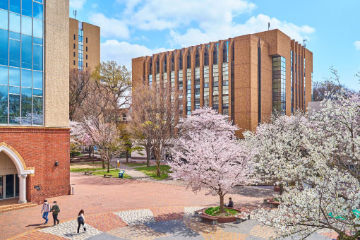 学習院大学の外観