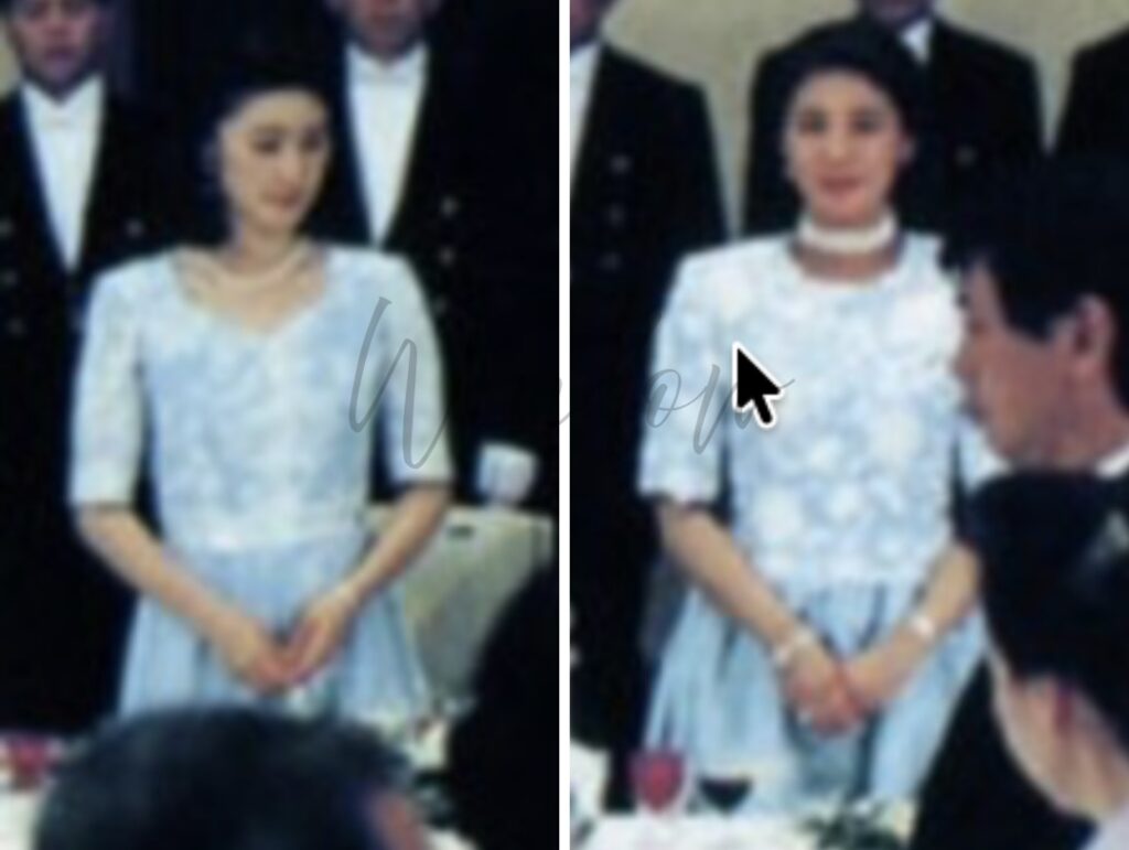 雅子さまと紀子さまの衣装かぶり比較画像